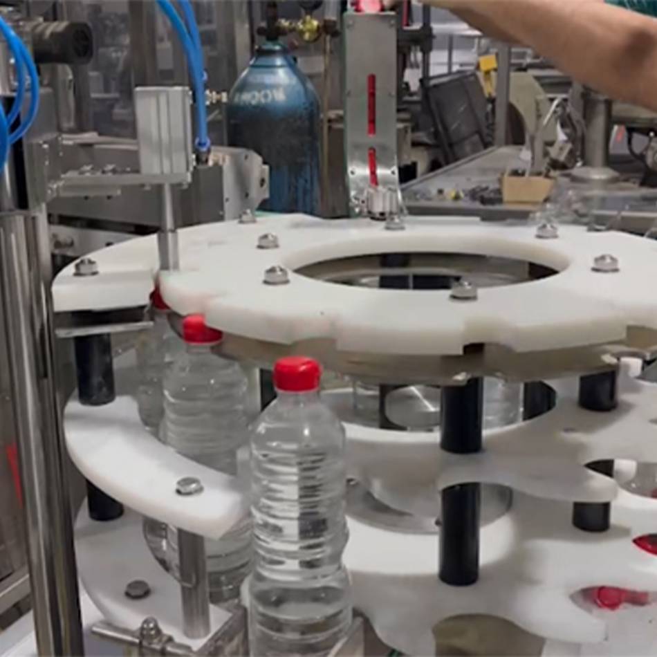 Distributor of packing machines into bottles